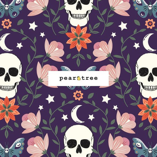 Dashwood Studio Skulls