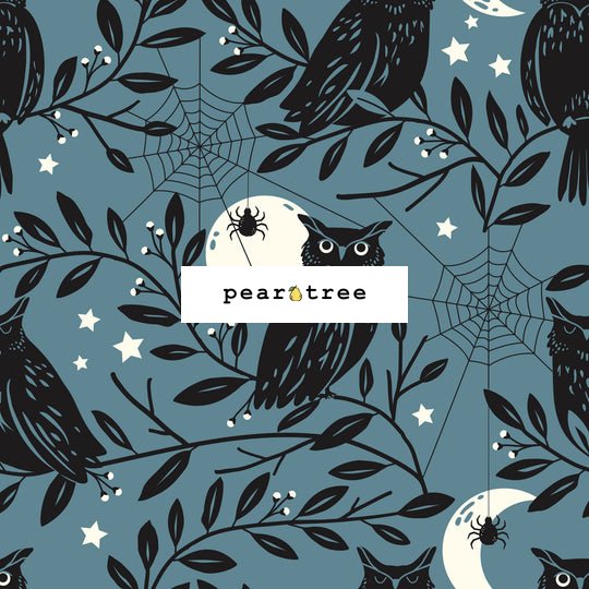 Dashwood Studio Owls