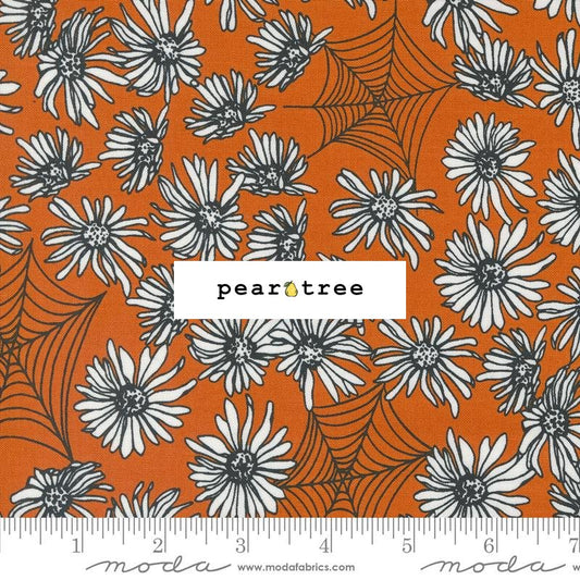 Moda Fabrics Pumpkin - Daisies