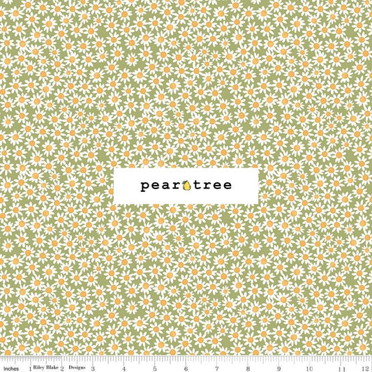 Riley Blake Designs Daisies Green