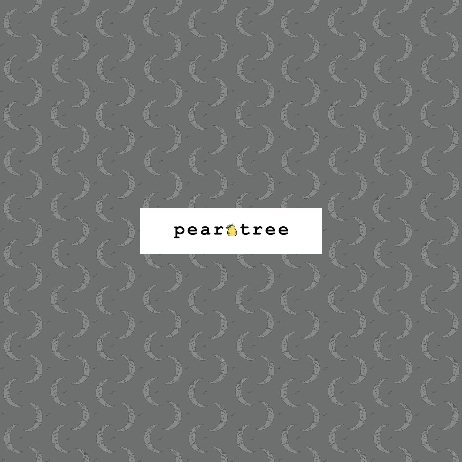 RJR Fabrics Haunting Moonlight - Grey Fabric