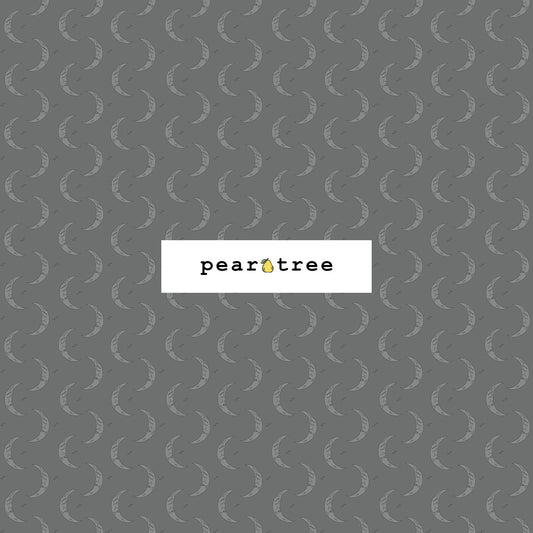 RJR Fabrics Haunting Moonlight - Grey Fabric