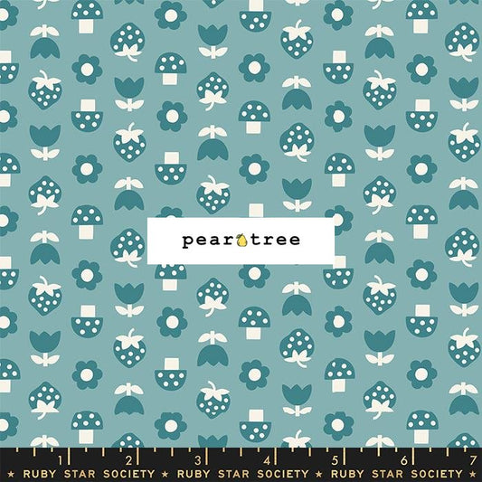 Ruby Star Society Playroom