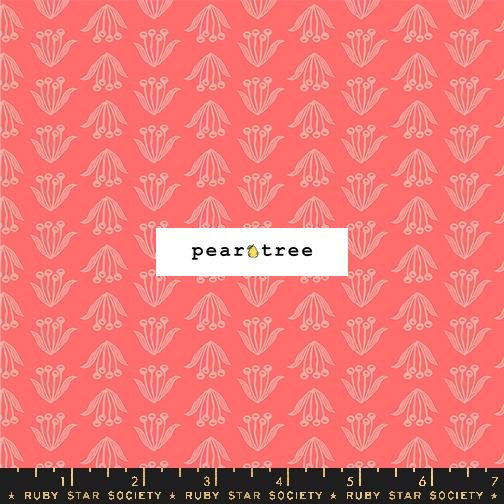 Ruby Star Society Strawberry - Floral